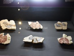 Exposición de los Guerreros de Xian 2023